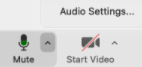 Zoom audio settings button